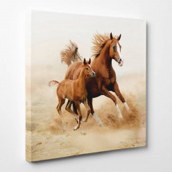 Tableau toile - Chevaux 2