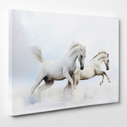 Tableau toile - Chevaux 22