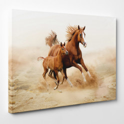 Tableau toile - Chevaux 23