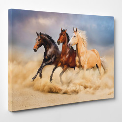 Tableau toile - Chevaux 24