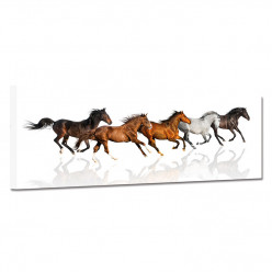 Tableau toile - Chevaux 25