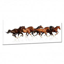 Tableau toile - Chevaux 26