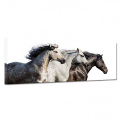 Tableau toile - Chevaux 27