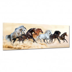 Tableau toile - Chevaux 30