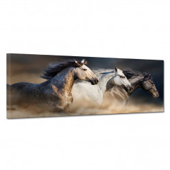 Tableau toile - Chevaux 31