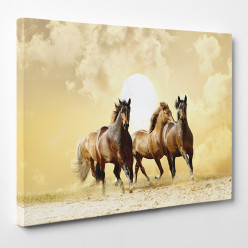 Tableau toile - Chevaux 5