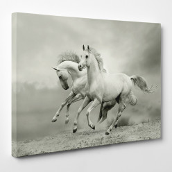 Tableau toile - Chevaux 6