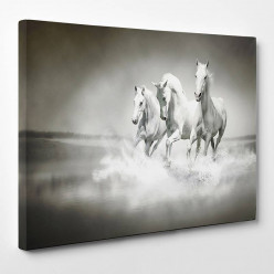 Tableau toile - Chevaux 7