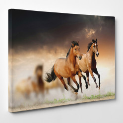 Tableau toile - Chevaux 9