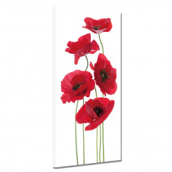 Tableau toile - Coquelicots 10