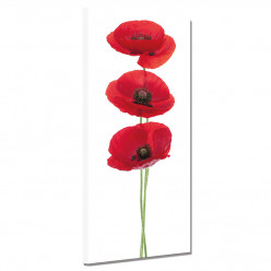 Tableau toile - Coquelicots 11