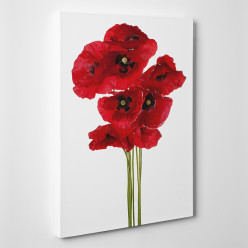 Tableau toile - Coquelicots 3