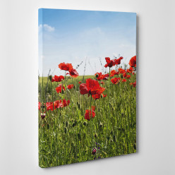 Tableau toile - Coquelicots 4