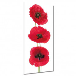 Tableau toile - Coquelicots 9