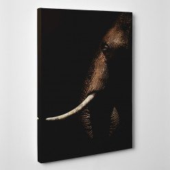 Tableau toile - Eléphant