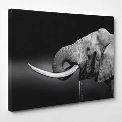 Tableau toile - Eléphant 3