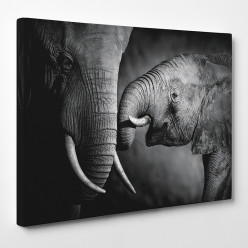 Tableau toile - Eléphants 2