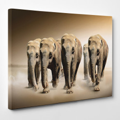 Tableau toile - Eléphants 3