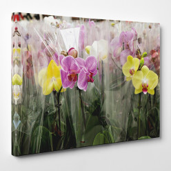 Tableau toile - Fleurs 20