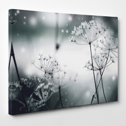 Tableau toile - Fleurs 26