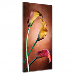 Tableau toile - Fleurs 30