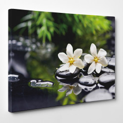 Tableau toile - Fleurs Galets 5
