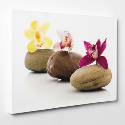 Tableau toile - Galets Orchidées