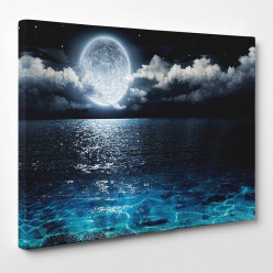 Tableau toile - Nature Lune 2