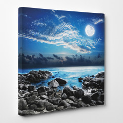 Tableau toile - Nature Plaine de Lune