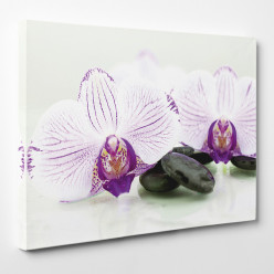 Tableau toile - Orchidée 10