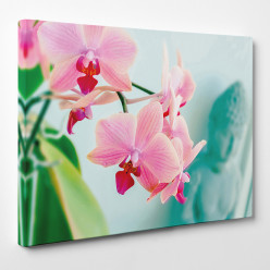 Tableau toile - Orchidée 15