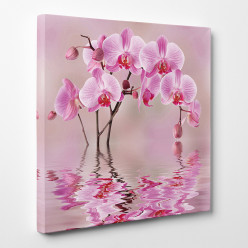 Tableau toile - Orchidées 13