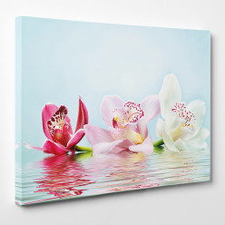 Tableau toile - Orchidées 21