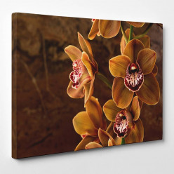 Tableau toile - Orchidées 26