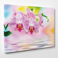 Tableau toile - Orchidées 31