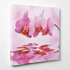 Tableau toile - Orchidées 6