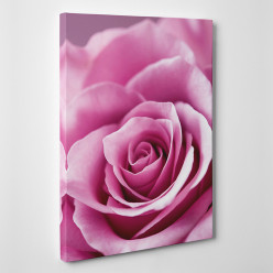 Tableau toile - Rose Zoom