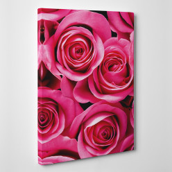 Tableau toile - Roses Zoom 2