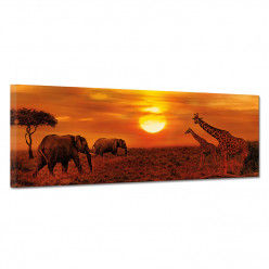 Tableau toile - Savane 2