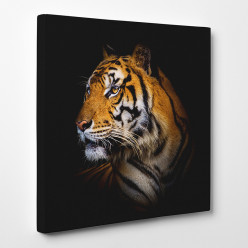 Tableau toile - Tigre 16