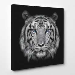 Tableau toile - Tigre 17