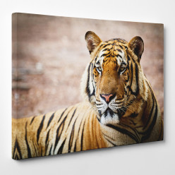 Tableau toile - Tigre 20