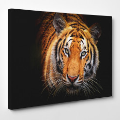 Tableau toile - Tigre 21