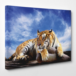 Tableau toile - Tigre 24