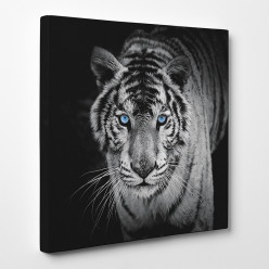 Tableau toile - Tigre 4