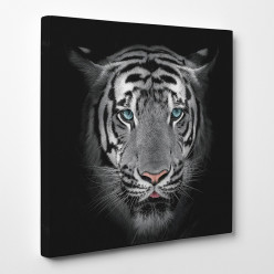 Tableau toile - Tigre 7