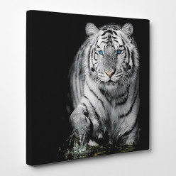 Tableau toile - Tigre 8