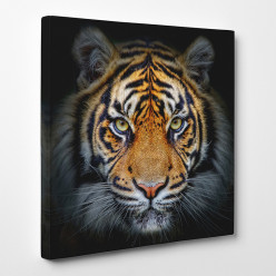 Tableau toile - Tigre 9