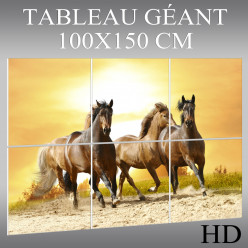 Triptyque Forex Chevaux