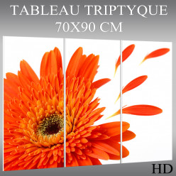 Triptyque Forex Fleur